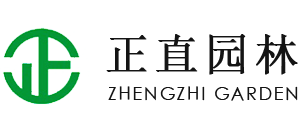 拉斯维加斯9888园林